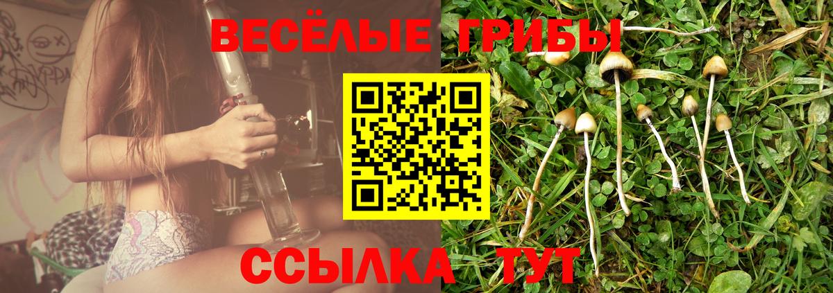 Славянск-на-Кубани  Галлюциногенные грибы мицелий  Вход с VPN 