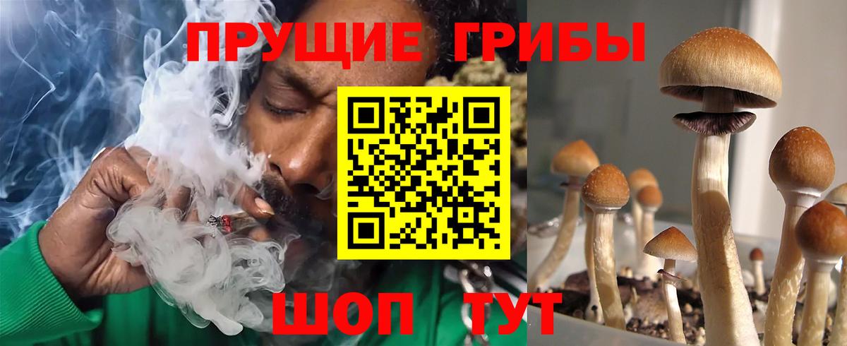 Псилоцибиновые грибы GOLDEN TEACHER Славянск-на-Кубани